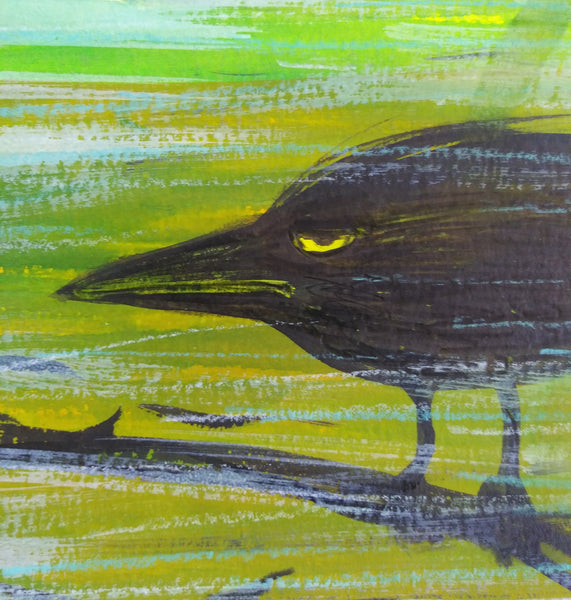 Storm Bird