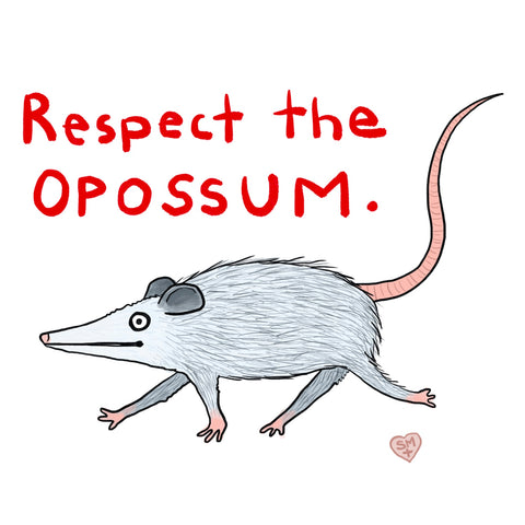 Respect the Opossum